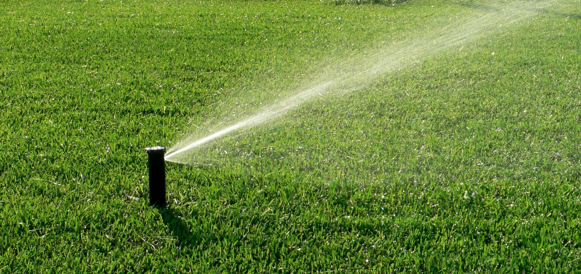 Active pop-up head during a routine sprinkler system service to ensure even lawn coverage.
