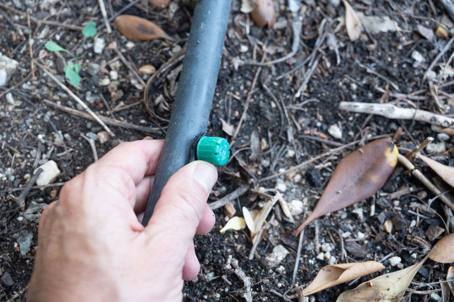 A man installs a drip irrigation system