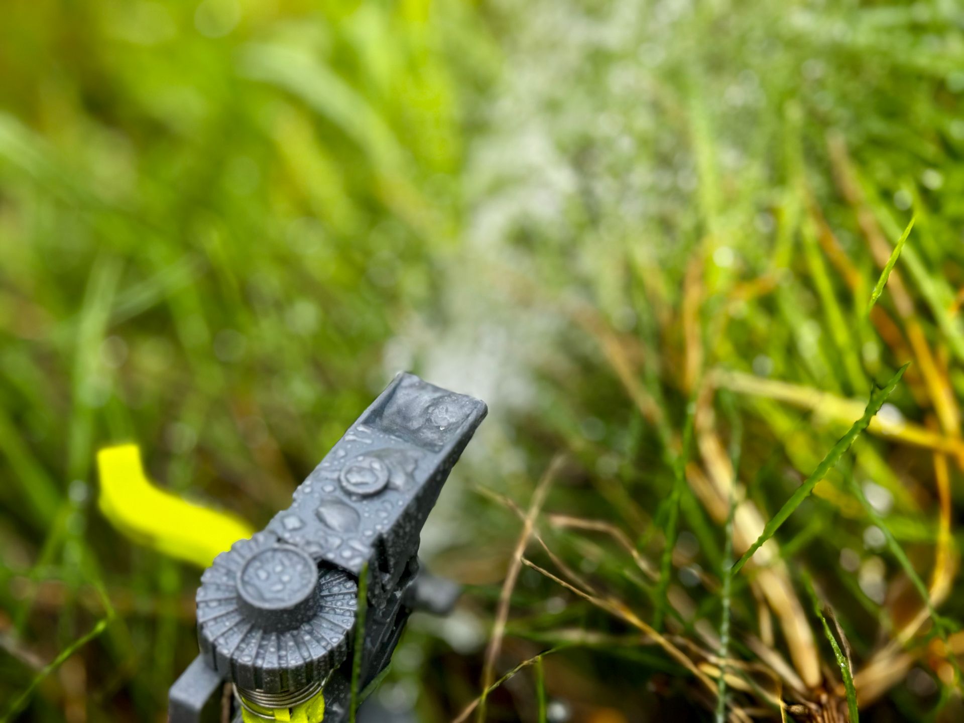 Watering the lawn with a sprinkler on a sunny day.