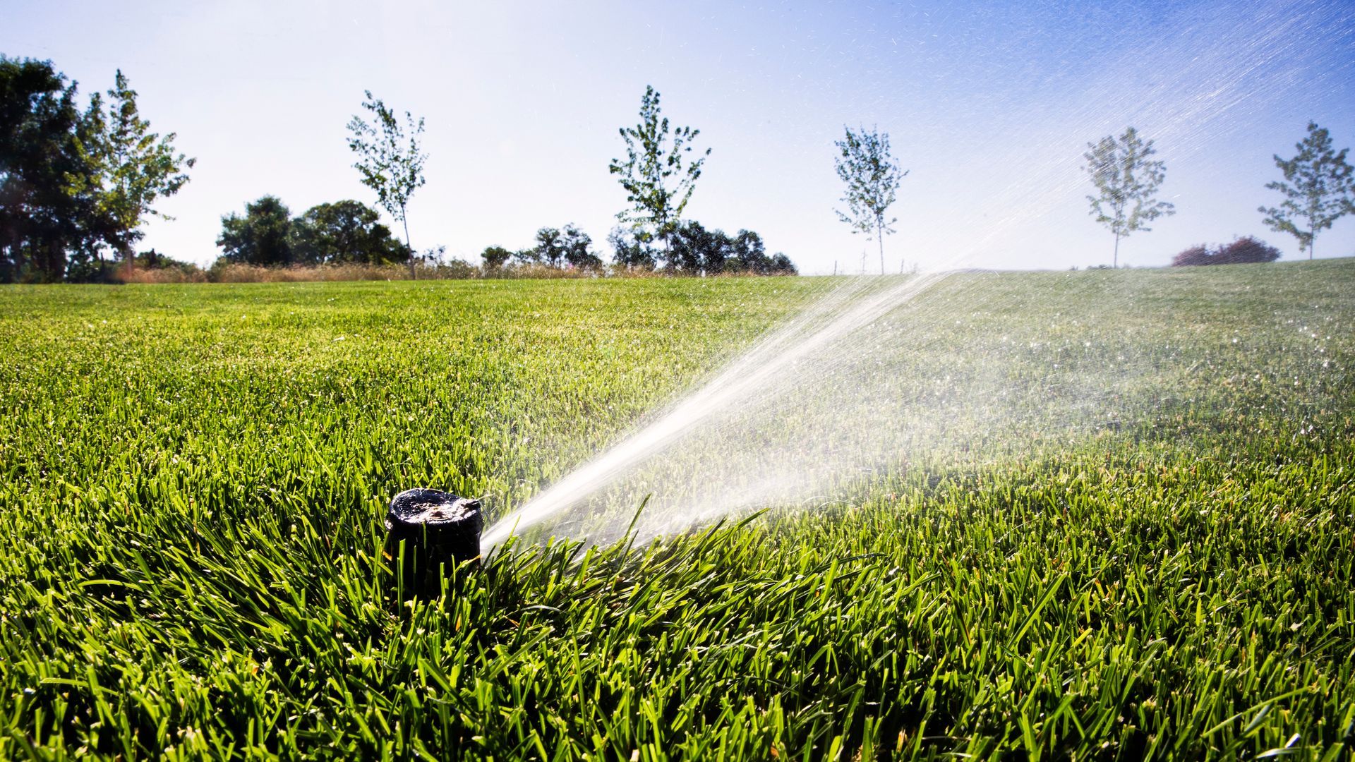 A sprinkler is spraying water on a lush green field.