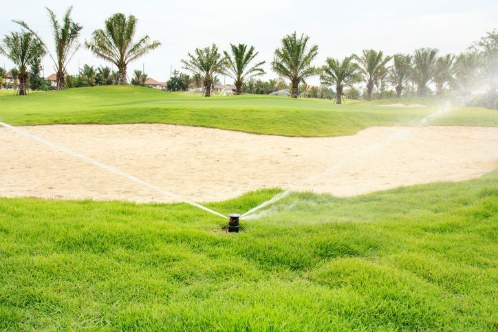 A sprinkler is spraying water on a lush green field.