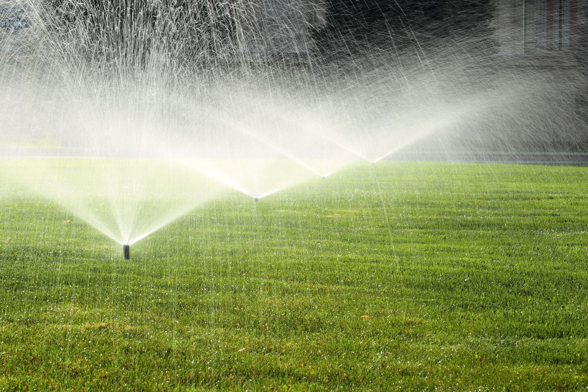 Wide view of garden sprinklers on the green lawn.