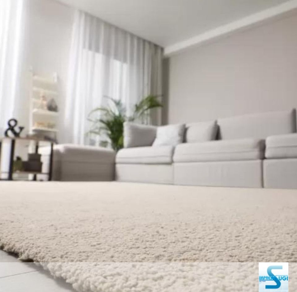 Un soggiorno con un divano bianco e un tappeto bianco