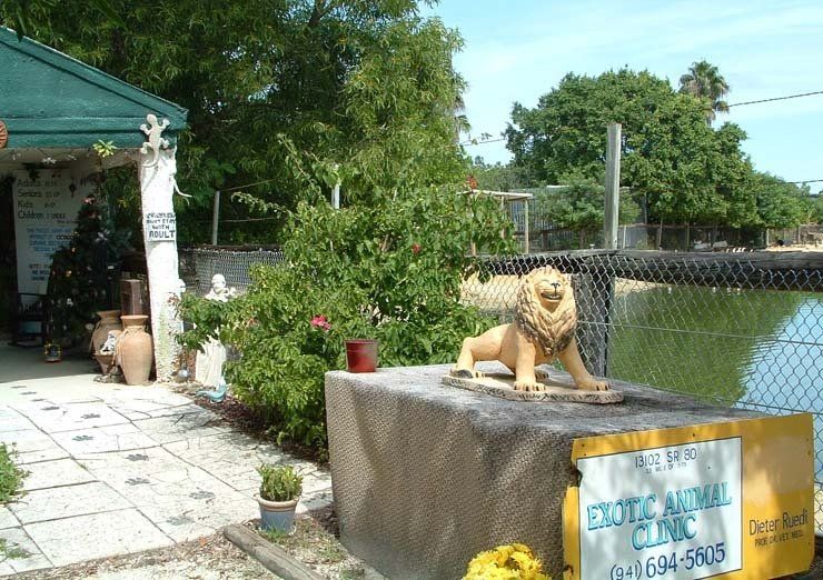 A statue of a lion sits in front of an exotic animal clinic