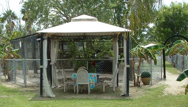 A gazebo with a table and chairs underneath it