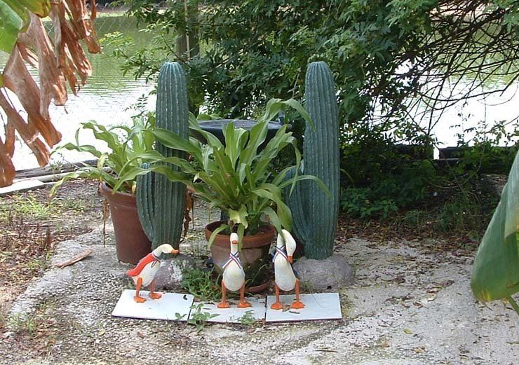 A couple of ducks standing next to a potted plant
