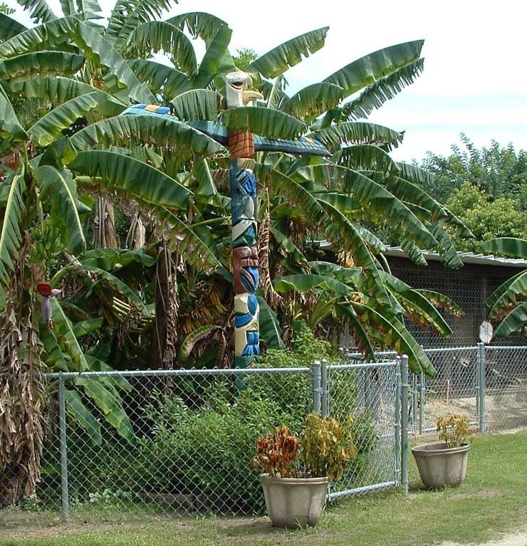 A totem pole is surrounded by palm trees and potted plants