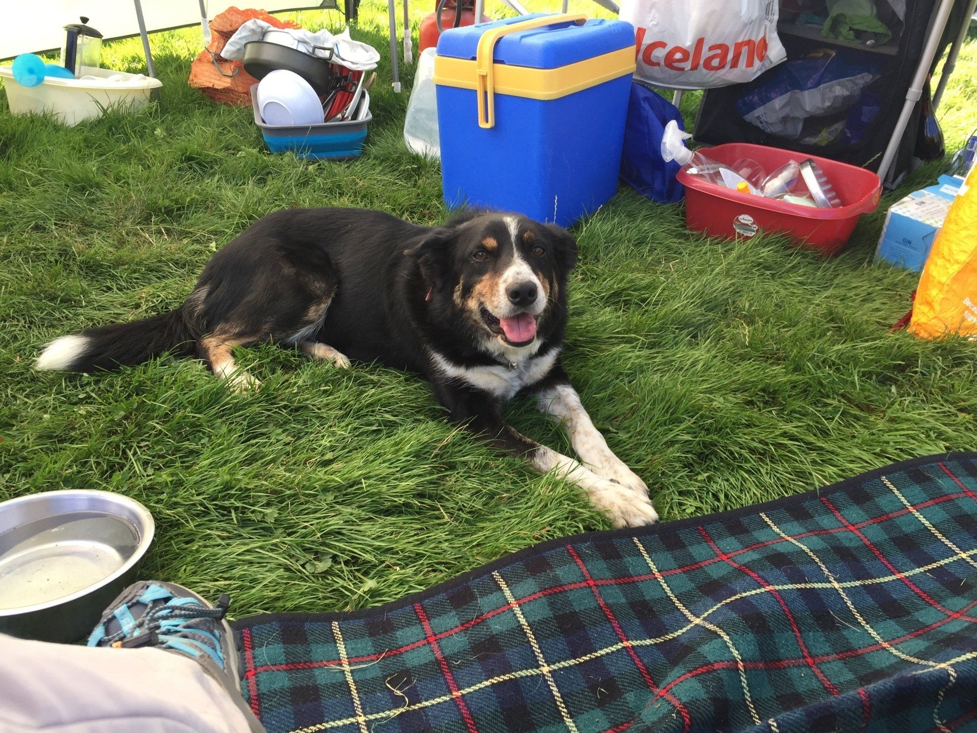 Well behaved Dogs Welcome