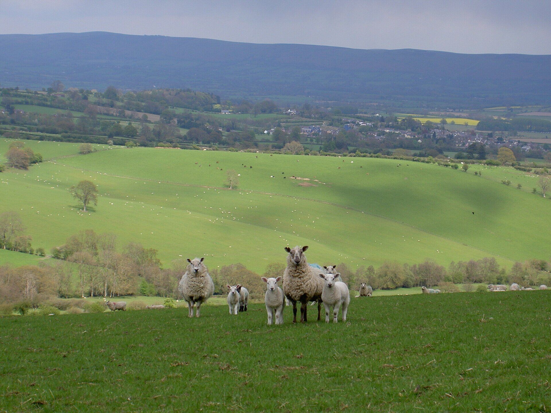 Views from the Campsite