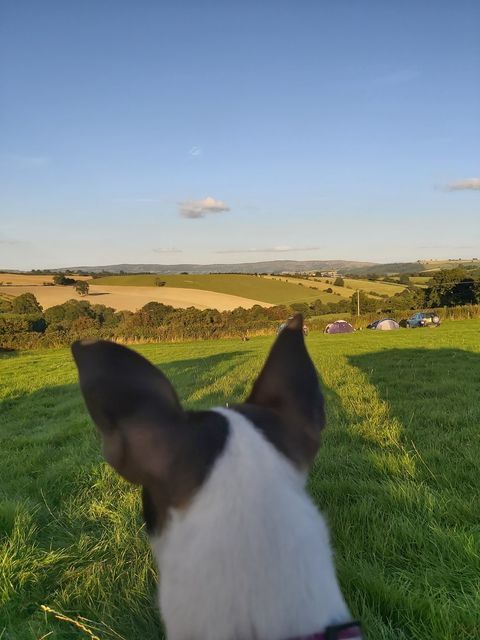 View from the campsite