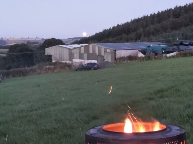 Enjoy our free firepits