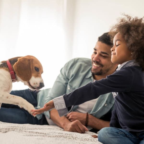 A young person and an adult sit on a bed playing high-five with a beagle wearing a red collar.