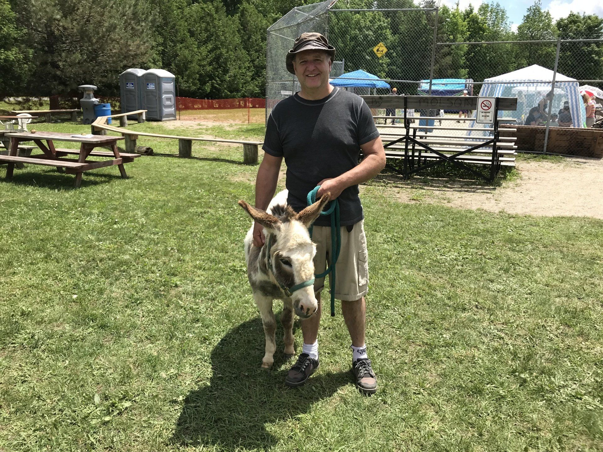 Miniature Donkey at Eugenia Gold Rush.