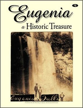 Building the Eugenia Power House and Dam History Book