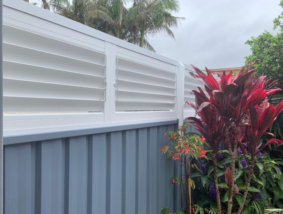 Basswood Shutters — Elegant Blinds & Awnings Taree In Taree South NSW