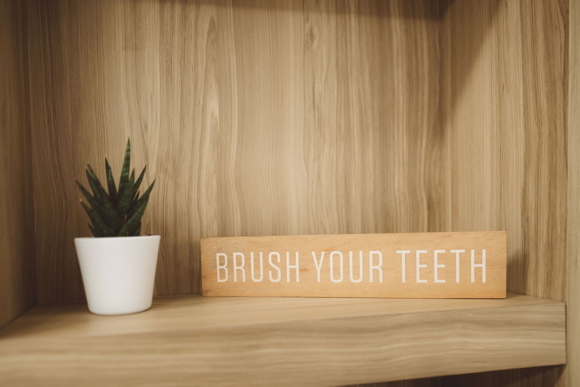 brush your teeth decorative shelf pieces