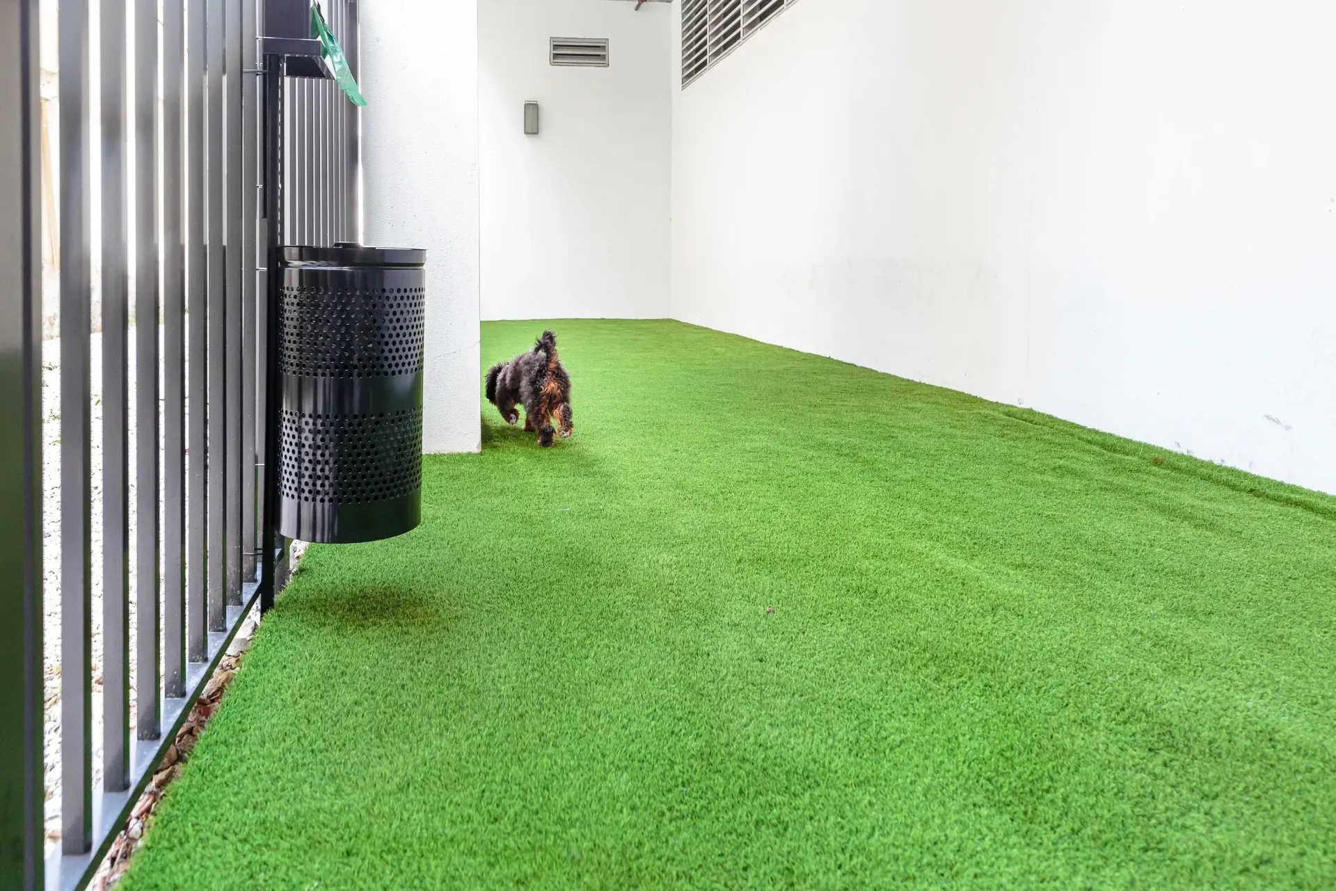White-walled alley with bright green artificial turf and a small dog near a black perforated trash can.