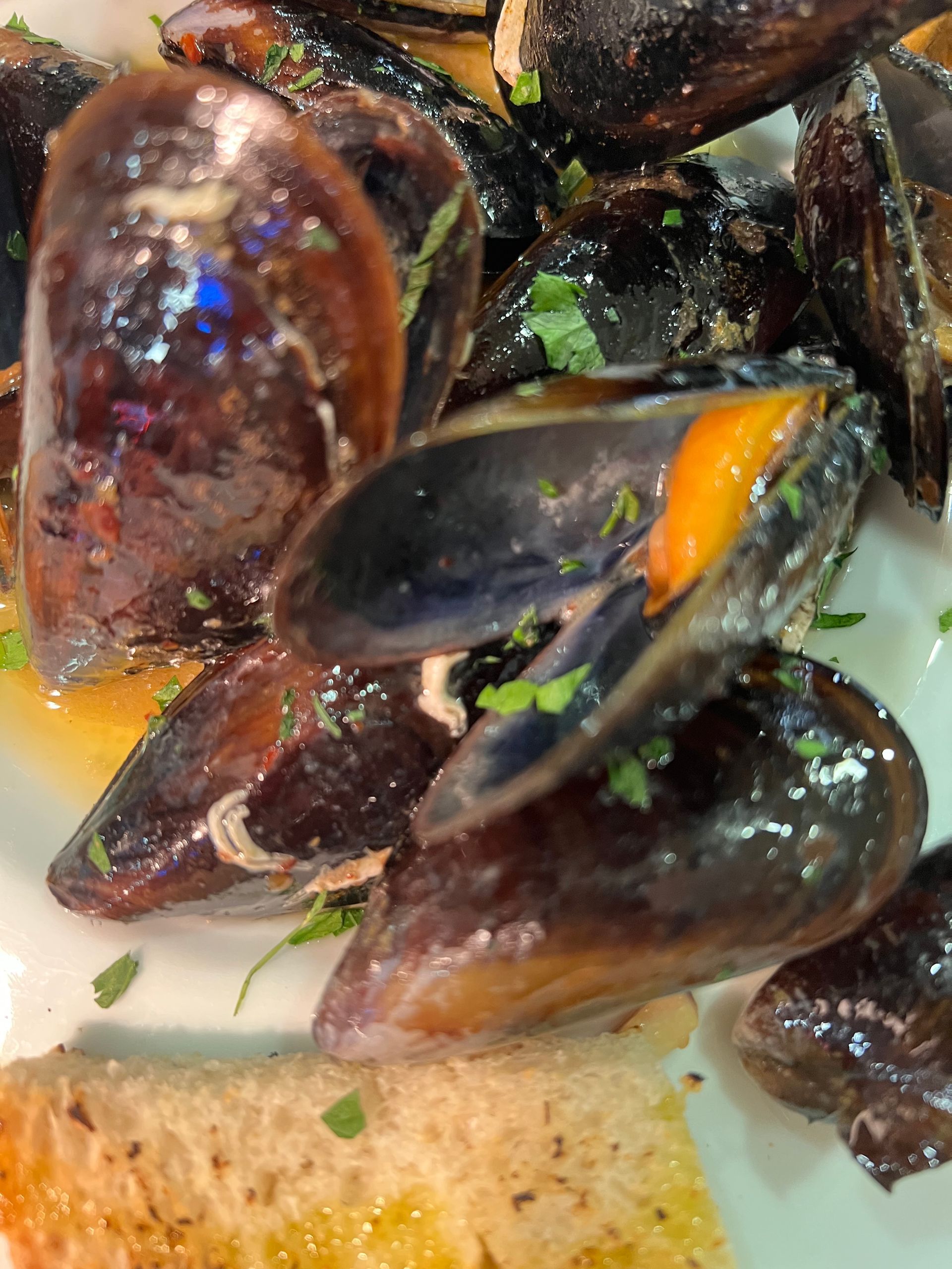 Cozze al vapore con prezzemolo, primo piano, servite con pane tostato.