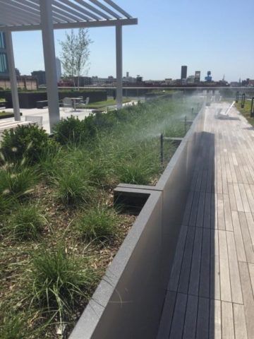 Newly Renovated Landscape — East Hazel Crest, IL — Andrew McCann Lawn Sprinkler Company