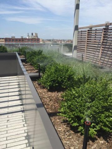 Landscaping Grass — East Hazel Crest, IL — Andrew McCann Lawn Sprinkler Company