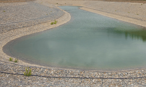 quality pond cleaning services