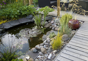 a lovely pond installed and maintained by the experts