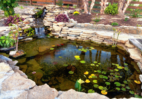pond construction and cleaning