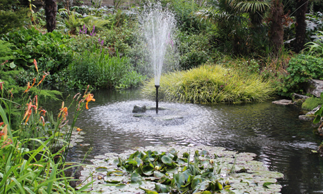 a fountain designed on a beautiful pond