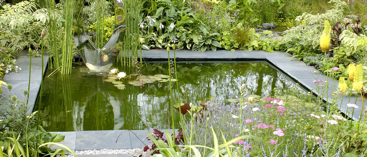 a square shaped pond with lily flowers