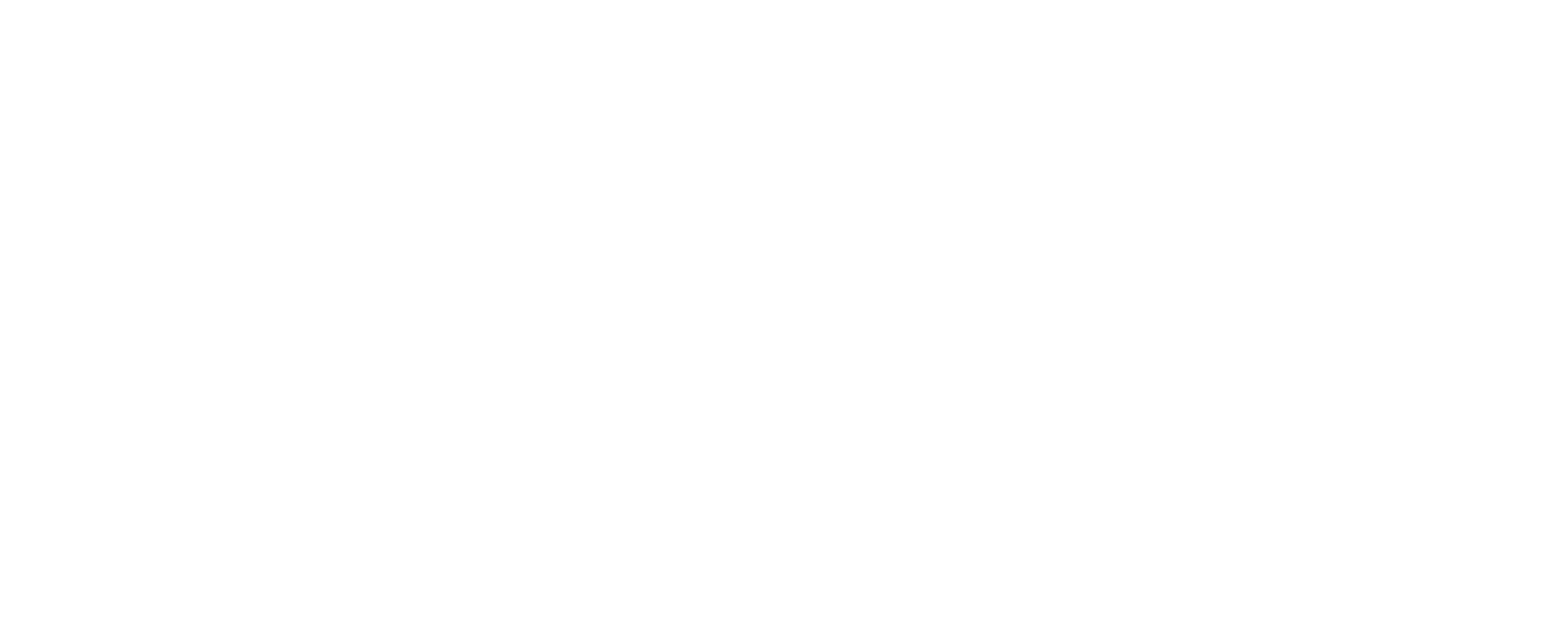 BSG Advisers