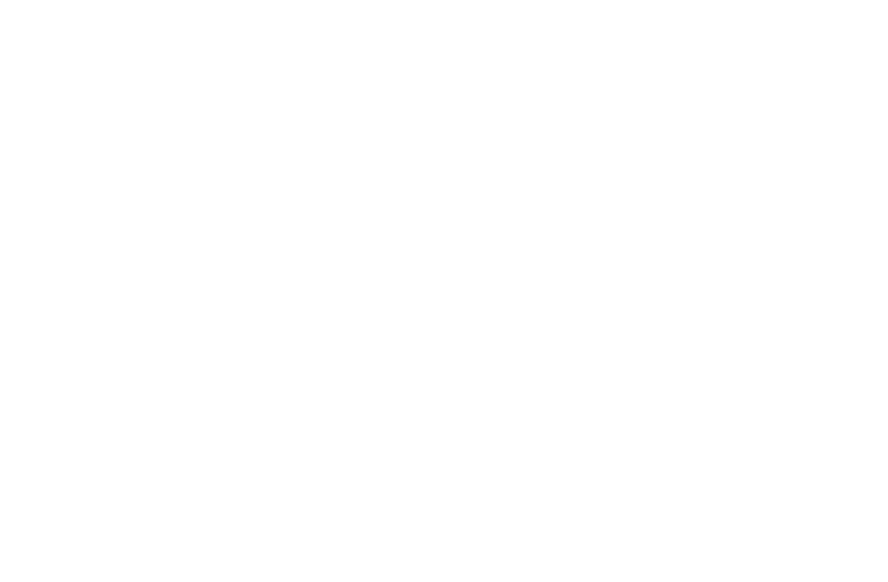 skill coach Logo