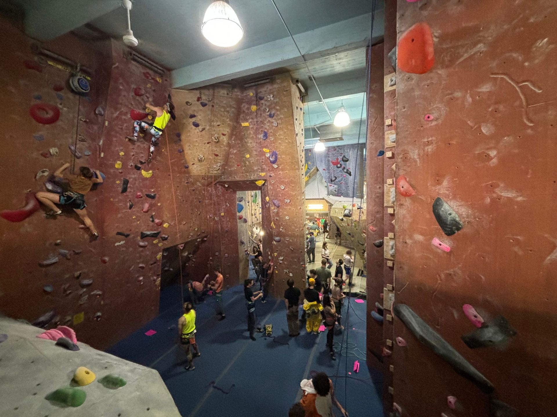 A group of people are climbing a climbing wall in a gym.