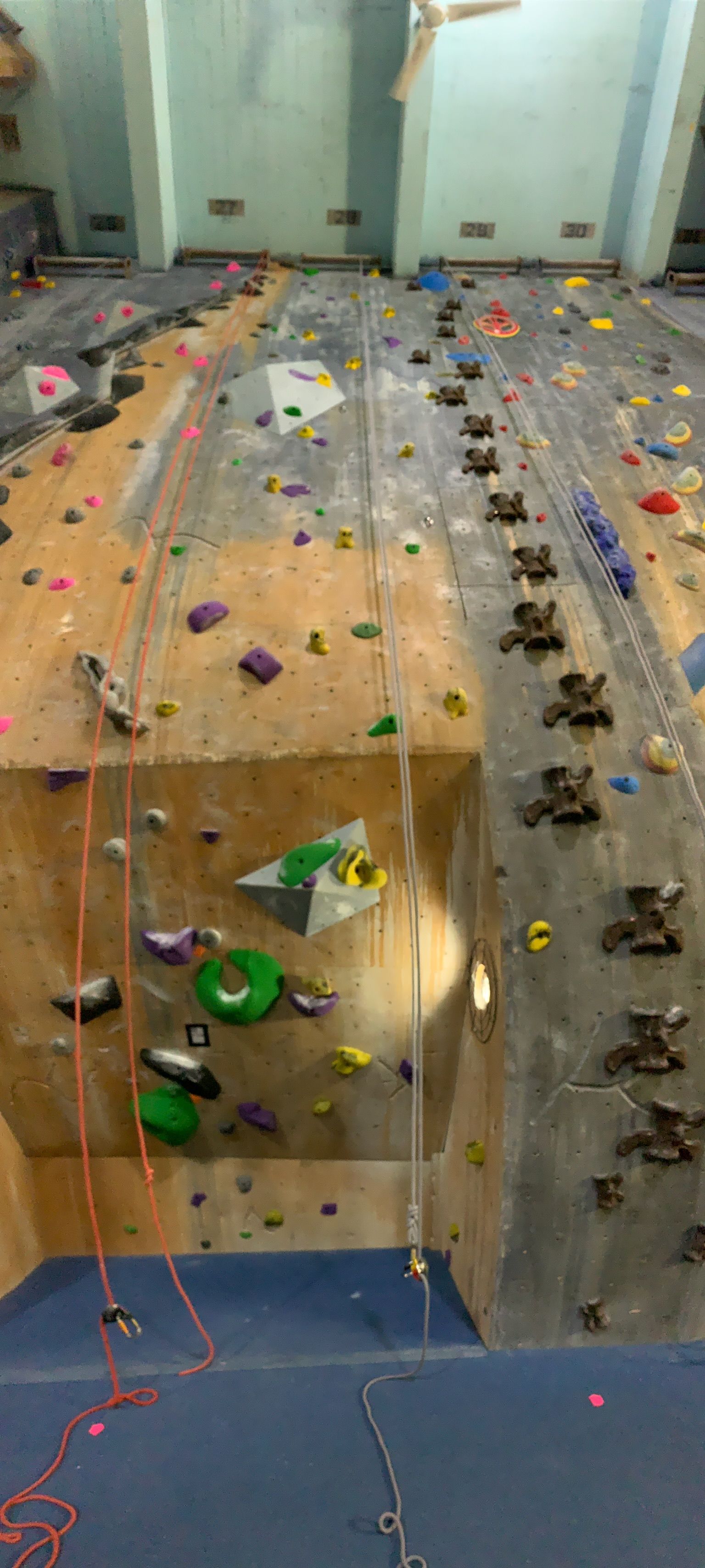 A large climbing wall with lots of rocks and ropes in a gym.