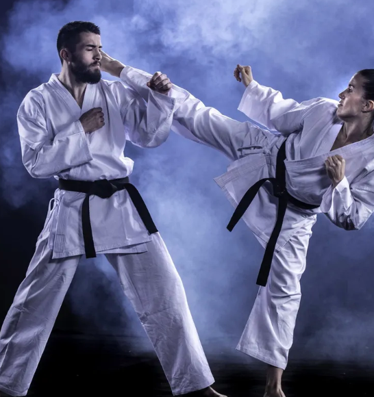 teen and adult martial arts