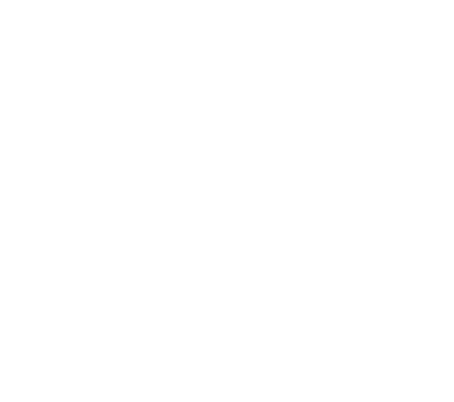 Wheelchair & handicap