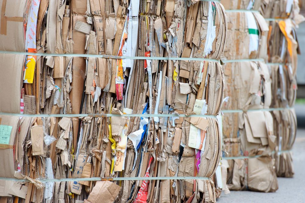 Bales of flattened cardboard, bound together, ready for recycling.
