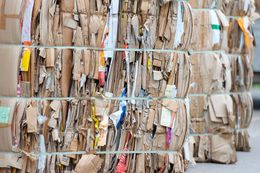 Bales of flattened cardboard, bound together, ready for recycling.