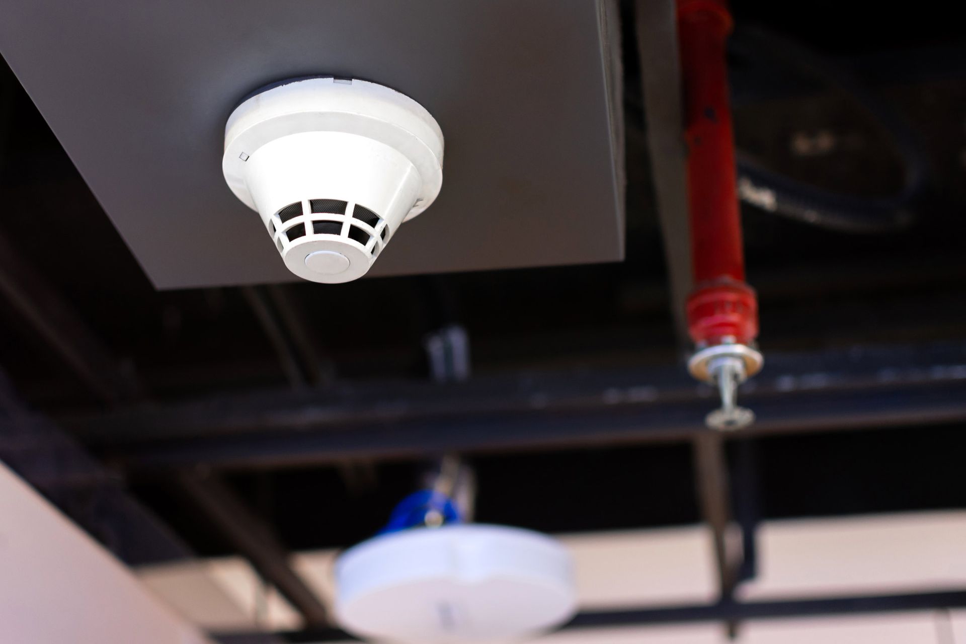 Smoke detector and fire sprinkler | Sydney, NSW | TEC Security