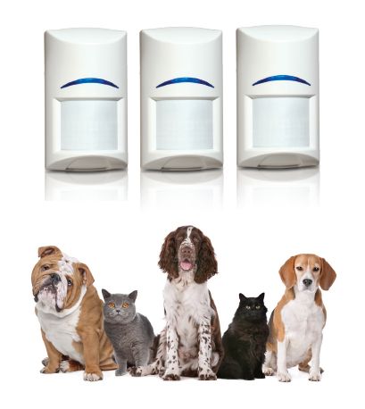 Motion detectors with dogs and cats | Sydney, NSW | TEC Security