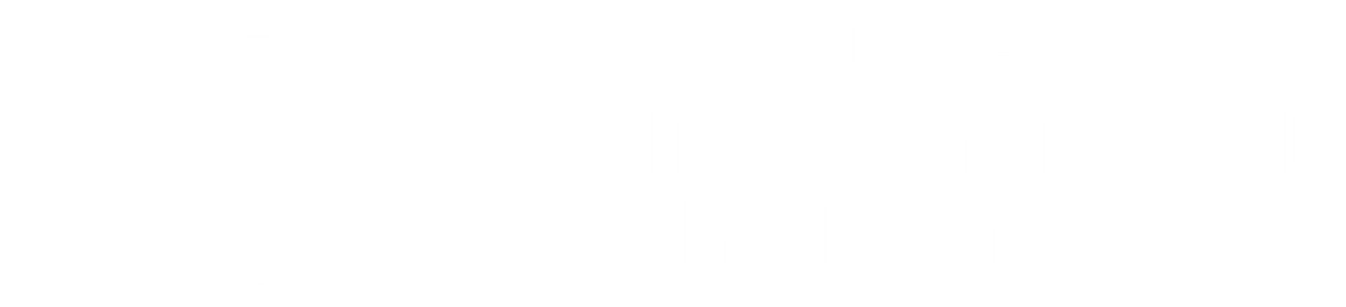 Logo for Vascular Interventional Physicians. Features