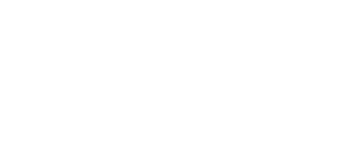 Sport-N-Shoes Logo