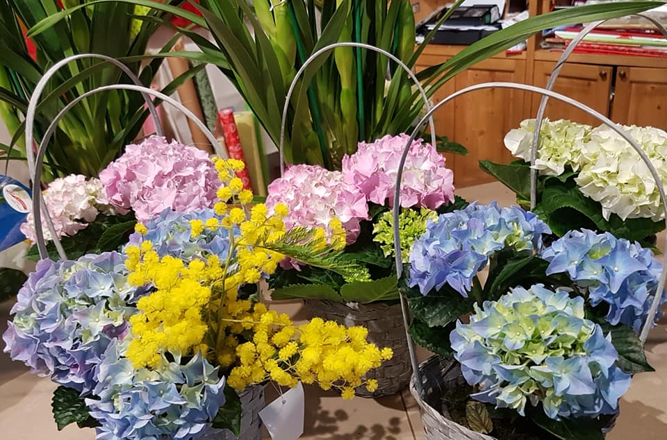 fioreria Emy Quero Vas composizione fiori