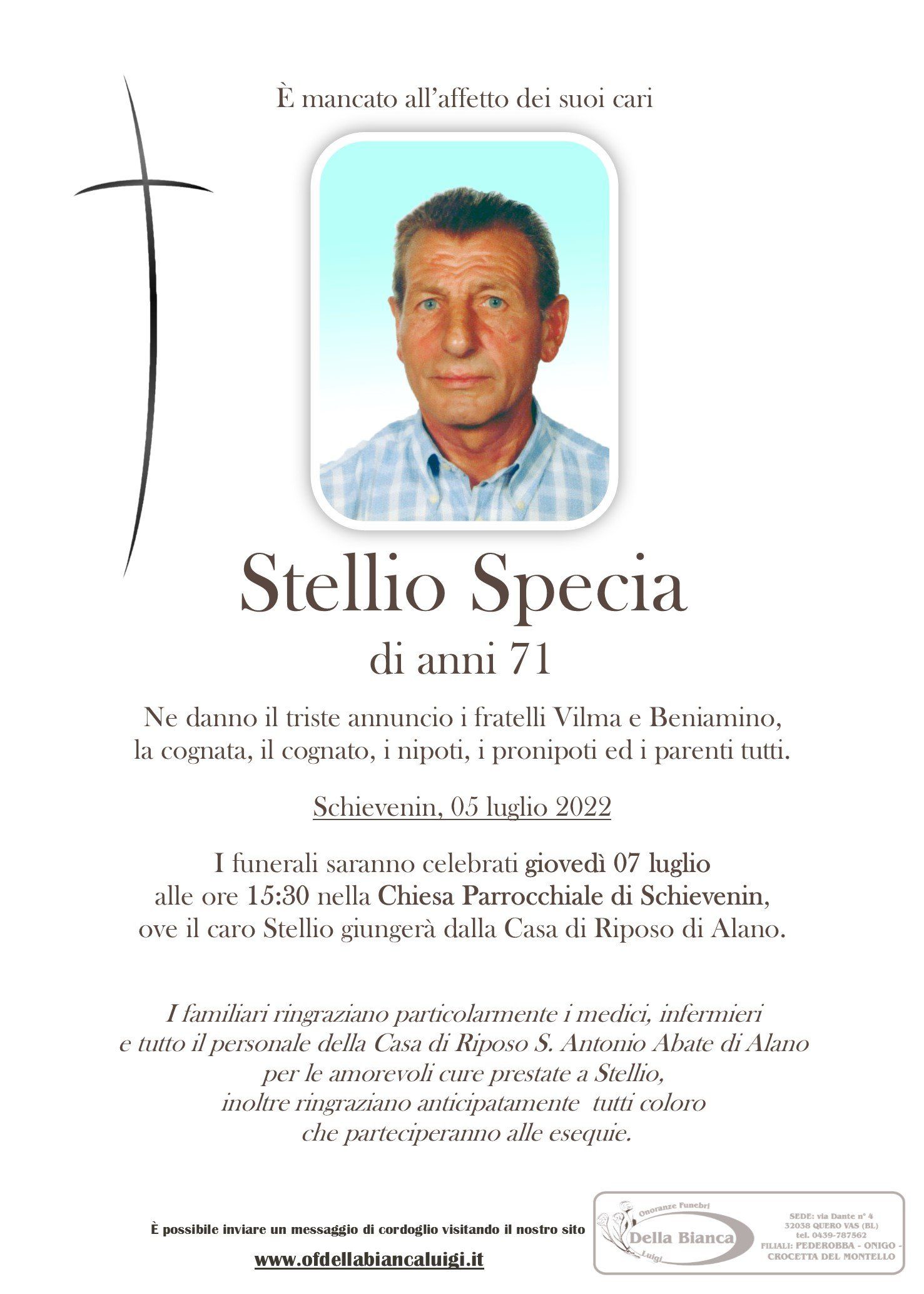 Stellio Specia