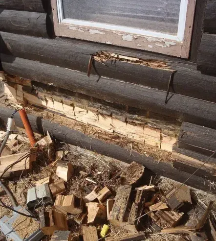 A log cabin with a window and a lot of wood laying on the ground.
