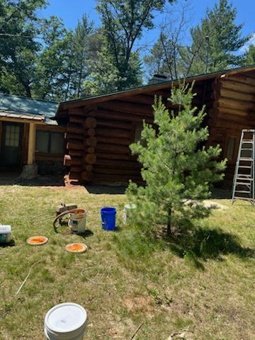 A log cabin is being painted in the backyard.