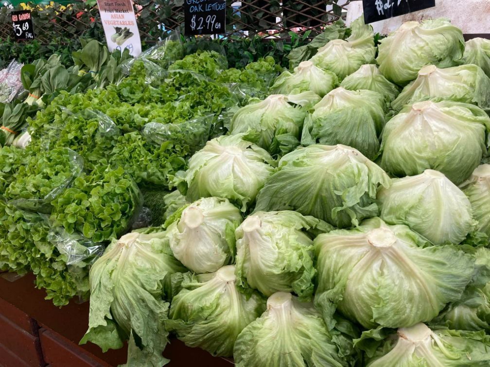 A Bunch Of Lettuce Heads Are Sitting On Top Of Each Other On A Table — Start Fresh Fruit Market in Bundaberg Central QLD
