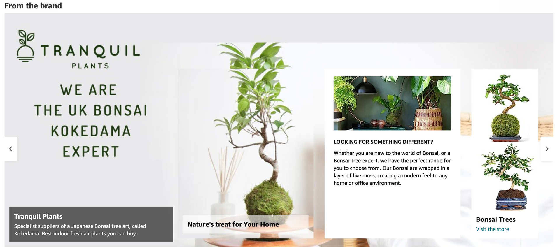 A screenshot of a website that says we are the uk bonsai kokedama expert.