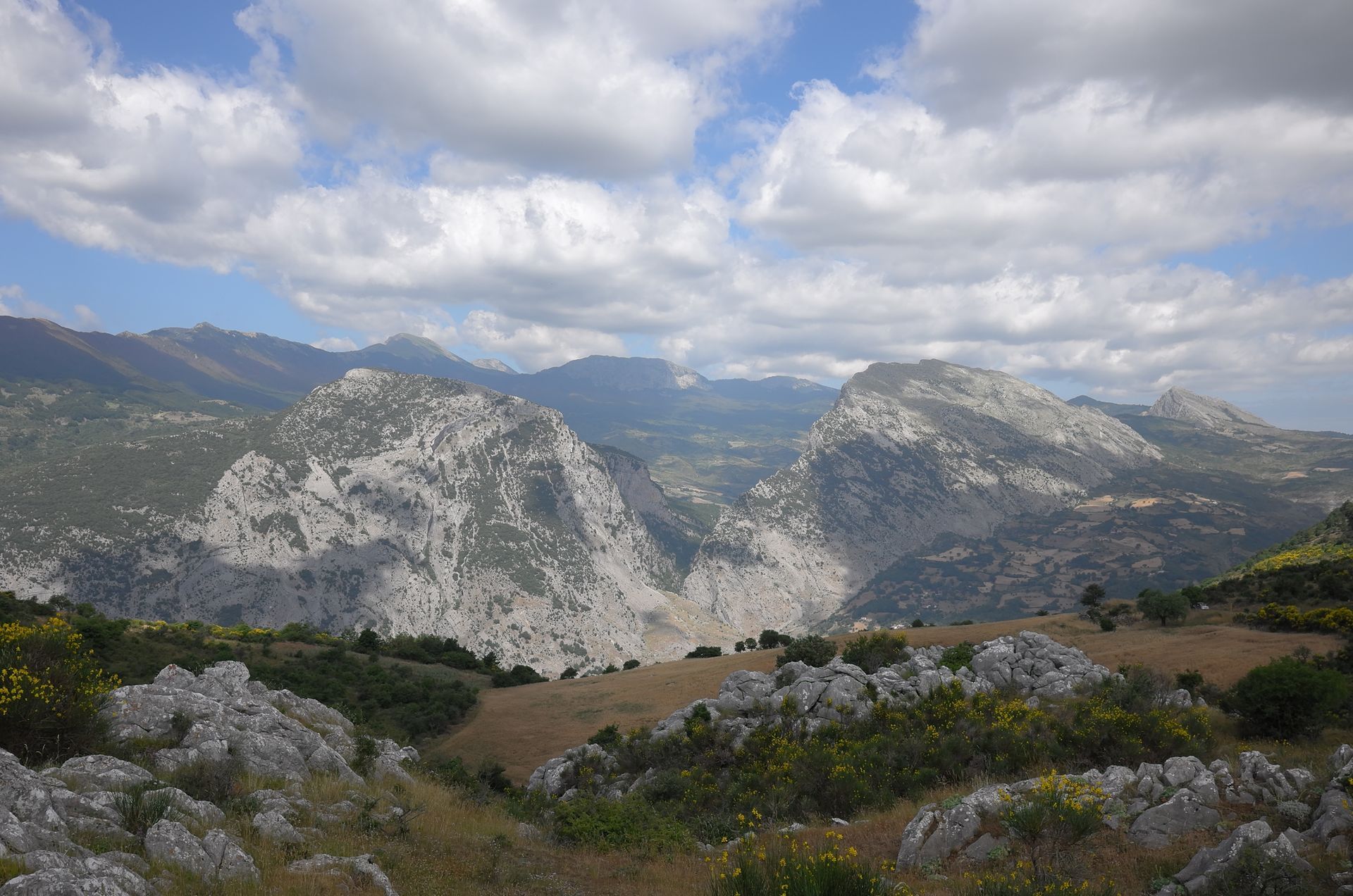 Montagne e valle sotto un cielo nuvoloso. Fogliame verde in primo piano.