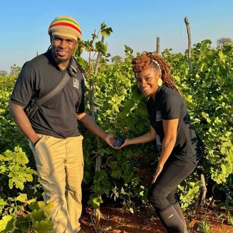 A man and a woman are standing next to each other in a vineyard