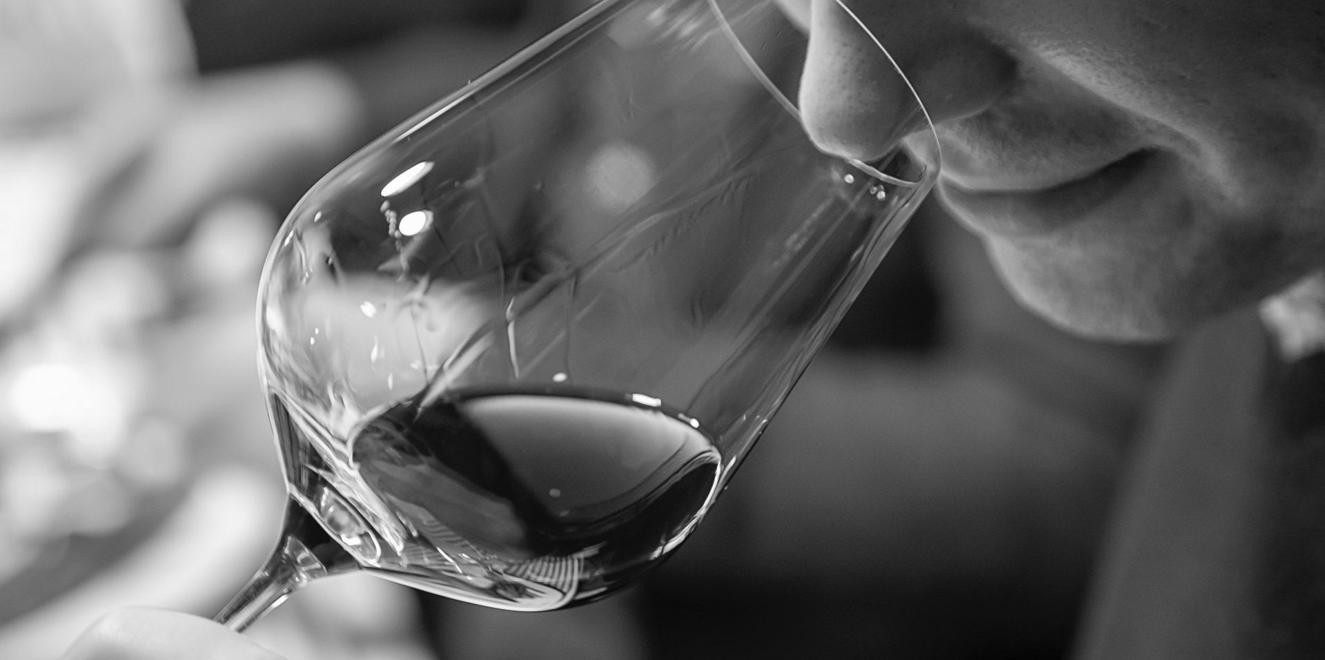 Person smelling red wine in a glass. Close-up view in grayscale.